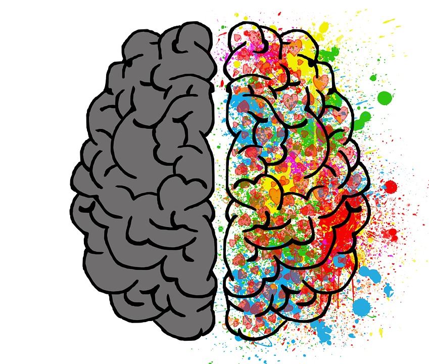 Art Brain